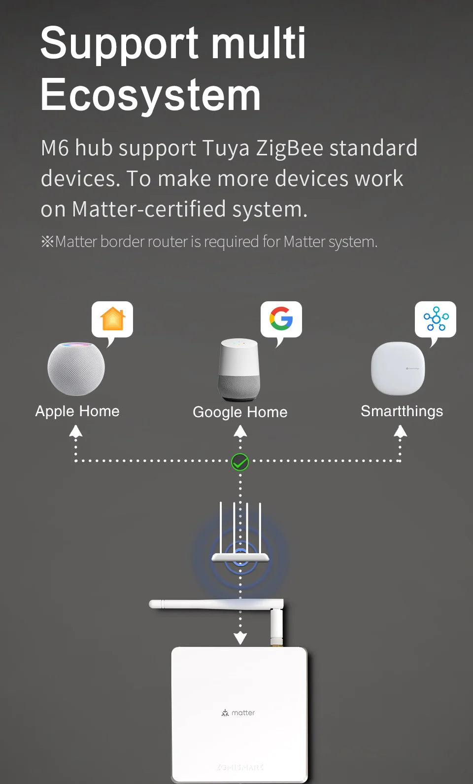 Zemismart Matter ZigBee Hub Smart Home Gateway Works