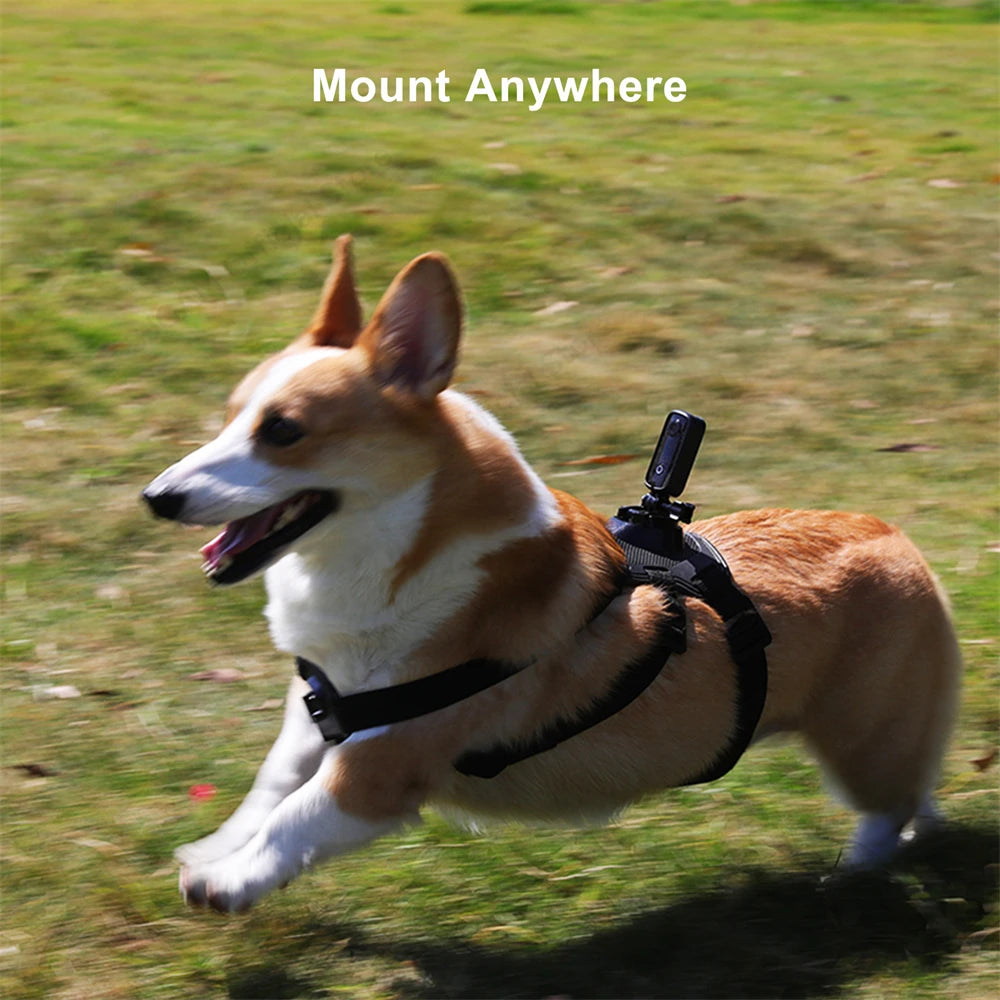 SJCAM C100 Plus 4K Action Camera Waterproof with WiFi & EIS