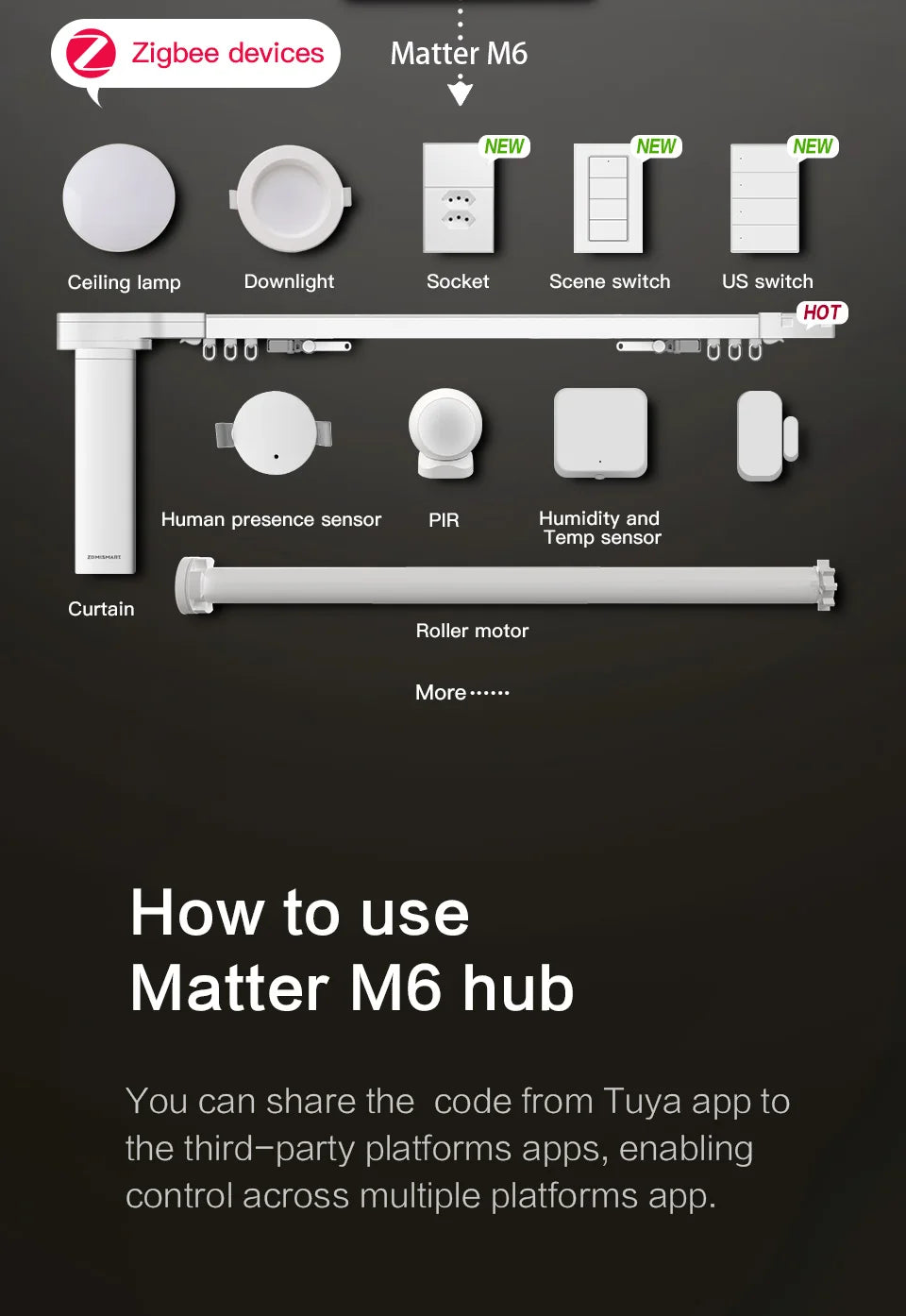 Zemismart Matter ZigBee Hub Smart Home Gateway Works